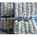 Pure White Garlic with Small Packing